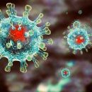 В Ростовской области коронавирусом заразились 560 человек за сутки
